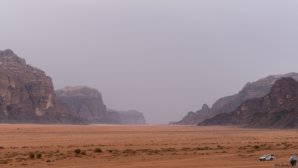 Wolkenverhangenes Tal in der Wüste