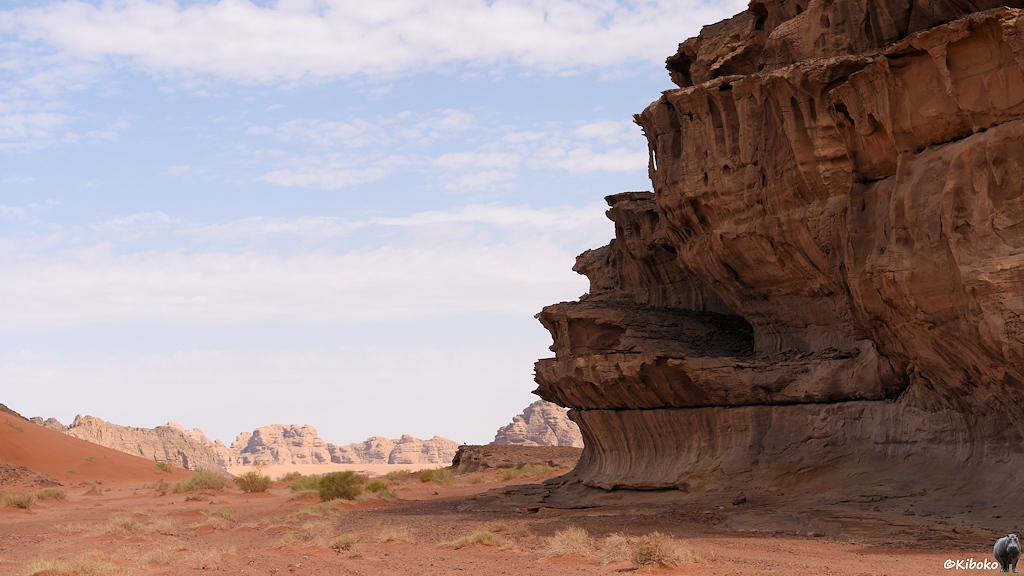 Wüstenlandschaft mit dominierender Felswand am rechten Bildrand