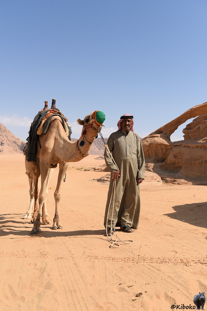 Beduine mit gesichtsmaske tragenden Dromedar
