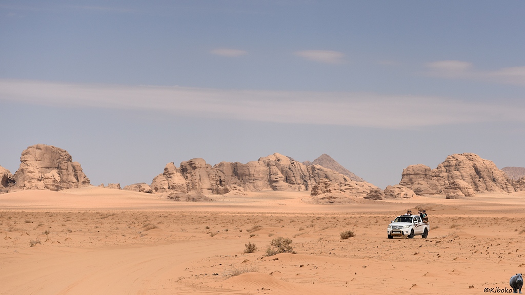 Weißer Geländewagen in einer beige-rosanen Wüste mit vereinzelnten Minibüschen vor einer Felskulisse