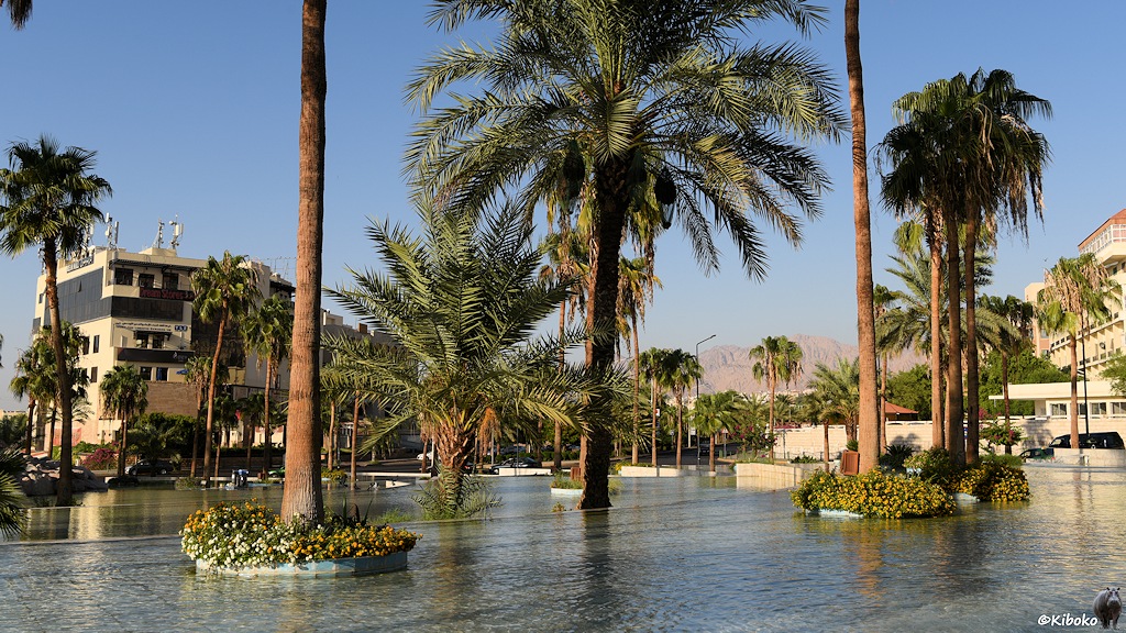 Wasserfläche mit Palmeninseln mit würfelförmigen Sandsteinhäusern im Hintergrund
