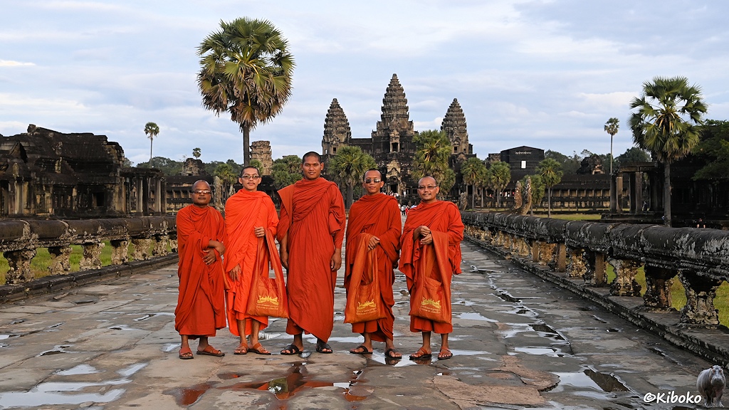 Das Bild zeigt 5 Buddhistische Möchne vor der Tempelanlage von Angkor Watt, Siem Reap, Kambodscha