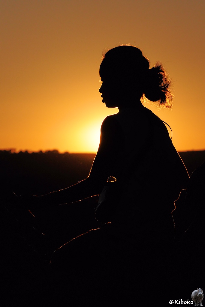 Das Bild zeigt das Porträt einer knieenden jungen Frau mit langen Haaren von der Seite im Gegenlicht der untergehenden Sonne.