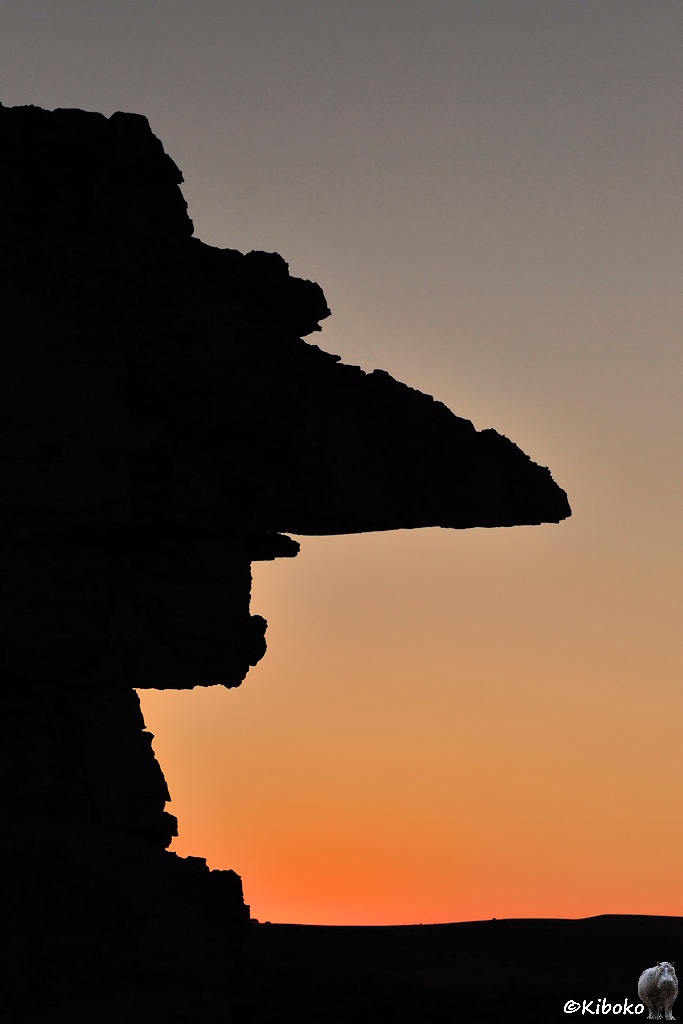 Das Bild zeigt eine Felsformation mit einem Gesicht von der Seite am linken Bildrand. Der Felsen hat vorstehende Augen, eine lange Felsnase, einen offenen Mund und ein eckiges Kinn. Der Himmel ist nach Sonnenuntergang noch orange.