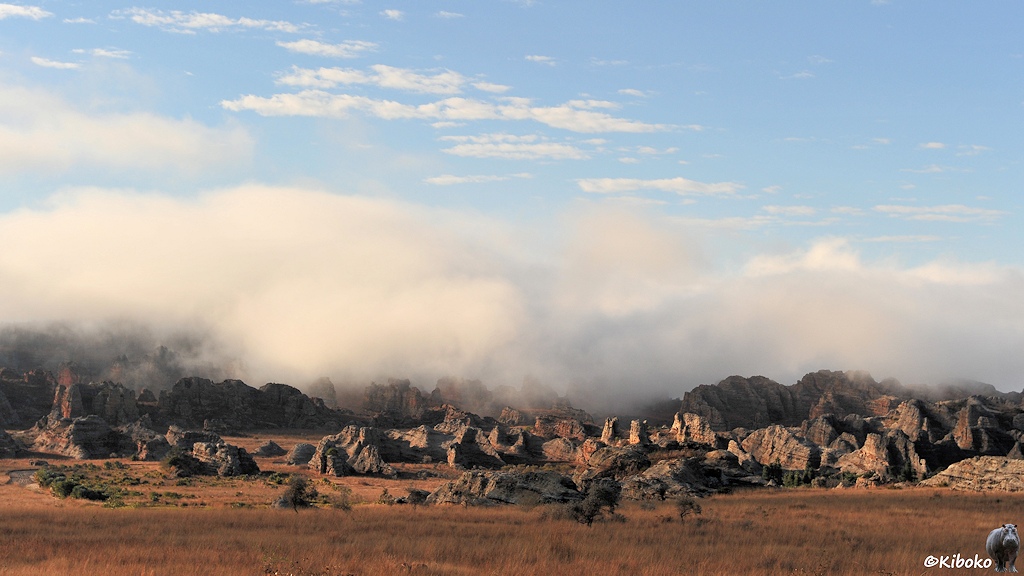 Das Bild zeigt eine Berggette aus zackigen Felsen. Im Vordergrund sind kleinere Felsnadeln, die von der Morgensonne angeleuchtet werden. Die Berge im Hintergrund sind in Wolken gehüllt.