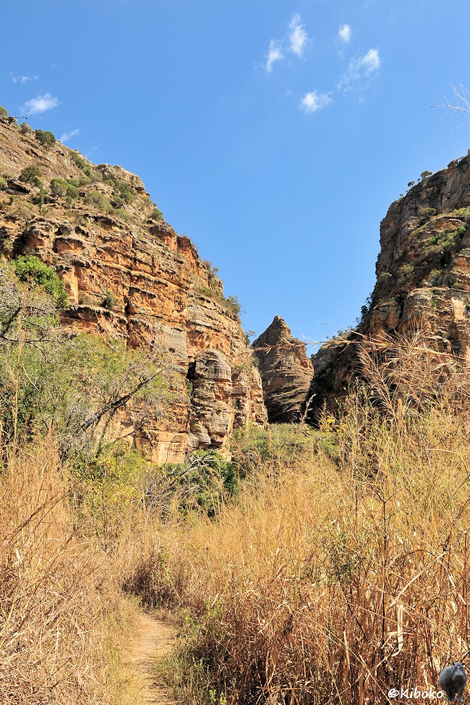 Das Bild zeigt eine Hochformataufnahme von einem Weg der zwischen hohen trockenen Gras in eine Schlucht aus gelbem Sandstein führt.