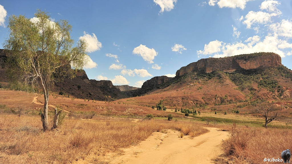 Das Bild zeigt einen Feldweg aus hellem Sand der in einem großen Bogen auf ein Tal im Bergmassiv führt. Am linken Bildrand steht ein einzelner Baum.