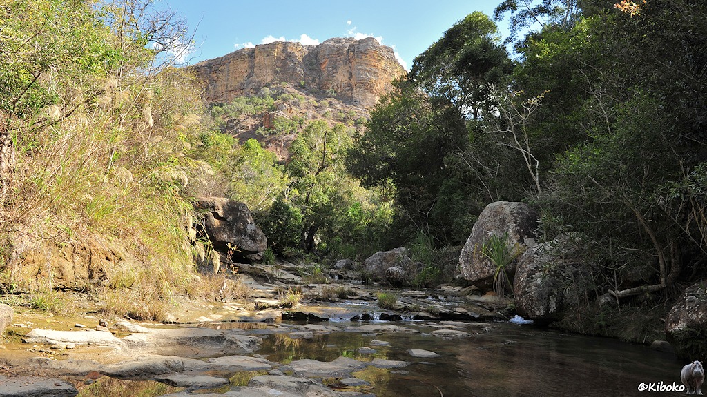 Das Bild zeigt einen Fluss. Zwischen großen Steinen sind kleine Tümpel. Nur wenig Wasser plätschert über die Steine im Flussbett. An den Seiten stehen kleine Bäume. Im Hintergrund ragt ein Berg mit steilen Felswänden auf.