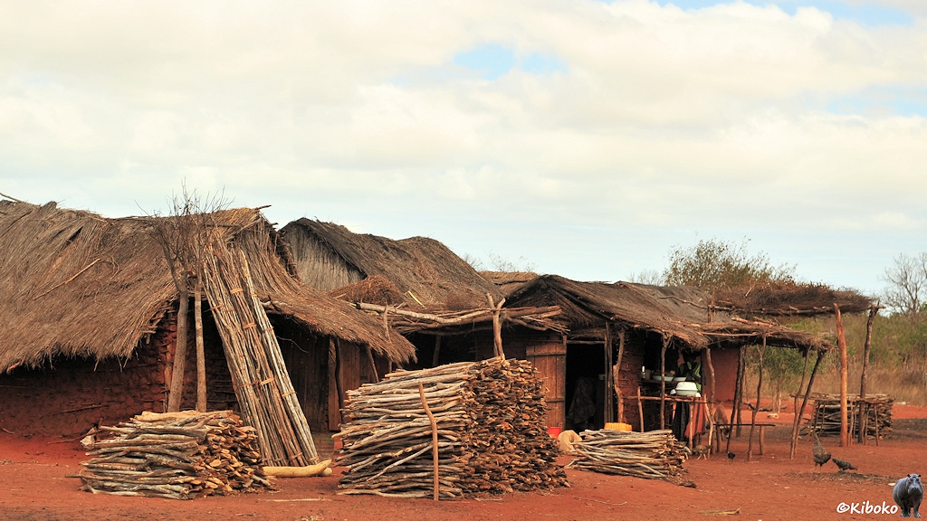 Das Bild zeigt Stapel mit in etwa armdicken und einen meter langen Knüppeln vor rotbraunen Lehmhütten mit Strohdach.