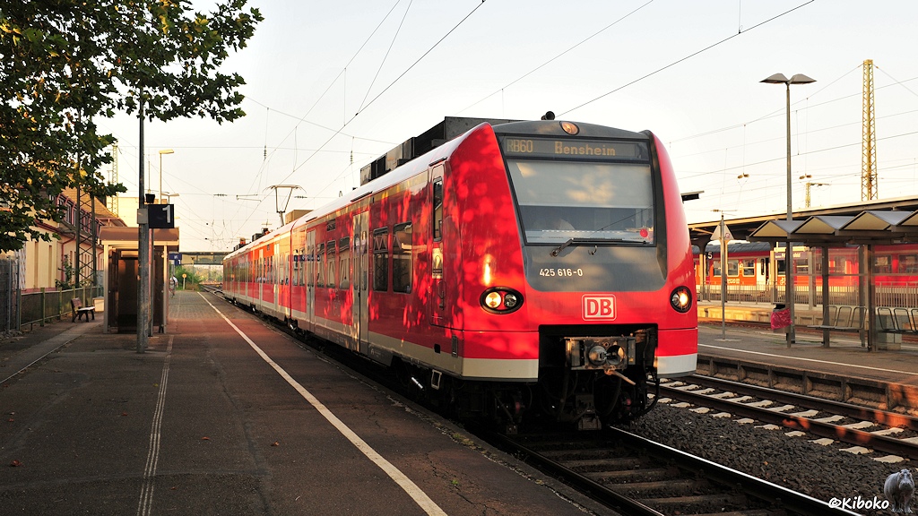Das Bild zeigt eine vierteilige roten Elektrotriebwagen mit weißer Zierline am unteren Wagenkasten und weißen Türen. Die Front rund um die Fesnter ist dunkelgrau. Der Zug hält an einen niedrigen, geteerten Bahnsteig.