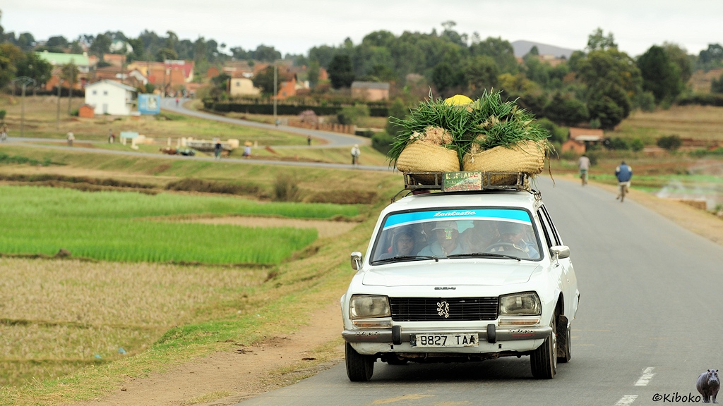 Das Bild zeigt einen vollbesetzten, weißen PKW mit Taxischild und mit Körben mit Gemüse auf dem Dach auf einer geschwungenen Teerstraße durch Reisfelder.