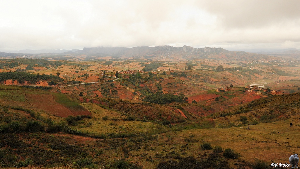 Das Bild zeigt eine Landschaftsaufnahme mit sanften, spärlich bewachsenen Hügeln mit rotbrauner Erde. Im Hintergrund ist eine Bergkette.