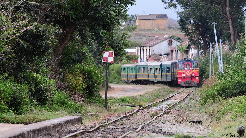 Das Bild zeigt einen Zug mit einer roten Lok und 5 grüne Personenwagen mit gelben Streifen in einer weiten Kurve. Die Gleise vor dem Zug haben Wellen und Dellen.