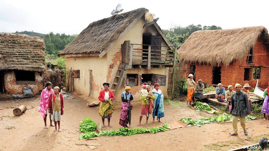 Das Bild zeigt kleine eineinhalbstöckige Häuser mit Strohdach. Davor stehen Frauen. Auf dem Boden sind Matten mit ausgebreiteten Gemüse.