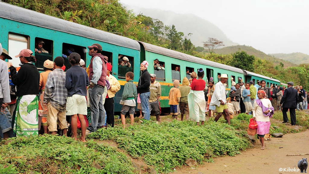 Das Bild zeigt den Zug von der Seite. In mehreren Reihen stehen die Leute dicht an dicht am Zug. Die Zugfenster sind offen. Die Fahrgäste schauen heraus.