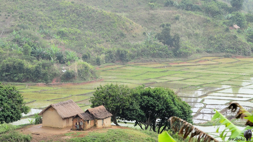 Das Bild zeigt einen kleinen Bauernhof mit ein paar umgebenden Bäumen. Dahinter breitet sich ein Tal mit Reisfeldern aus. Auf den Feldern steht das Wasser. Die gegenüberleigenden Berghänge sind baumlos.