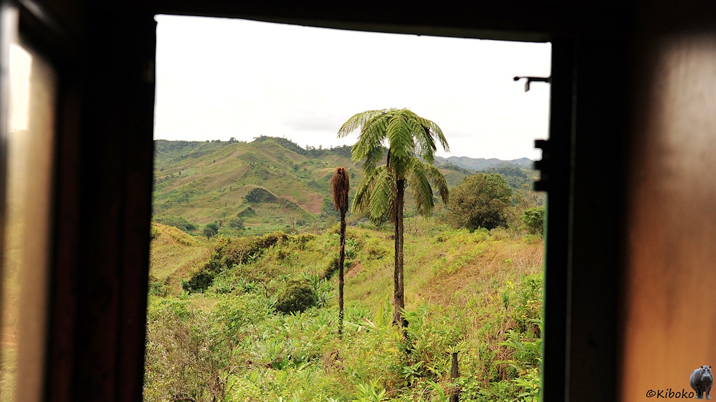 Das Bild zeigt einen Blick auf Berge und eine Palme durch die Türöffnung. Am Rand ist noch das Schanier zu erkennen.