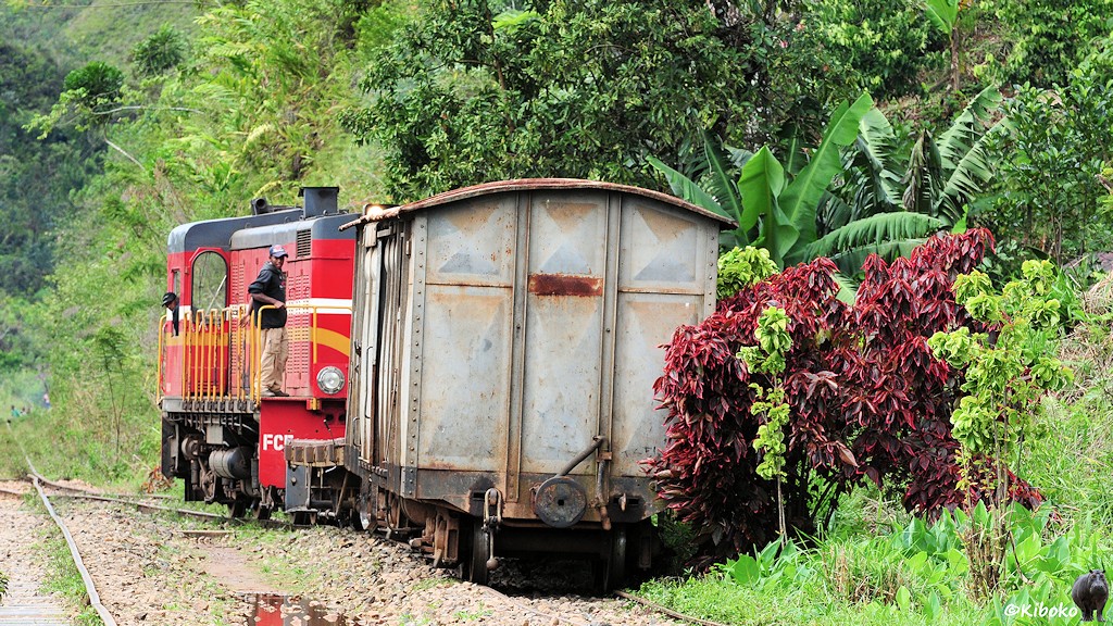Das Bild zeigt eine rote Diesellok, die einen Flachwagen und einen grauen geckten Güterwagen schiebt. Ein Baum mit roten Blättern ragt weit ins Profil.