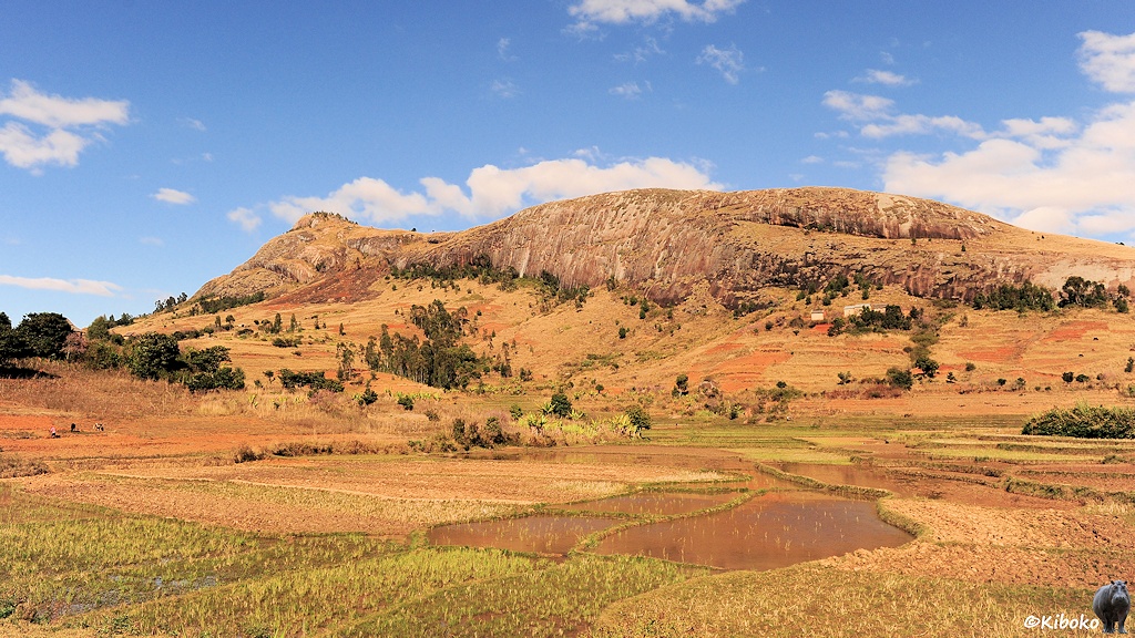 Das Bild zeigt ein weiteres Tal mit Reisefeldern im Vordergrund. Im Hintergrund ist ein Berg mit blankgeschliffenen Fels. Darunter ducken sich Dörfer am Hang.