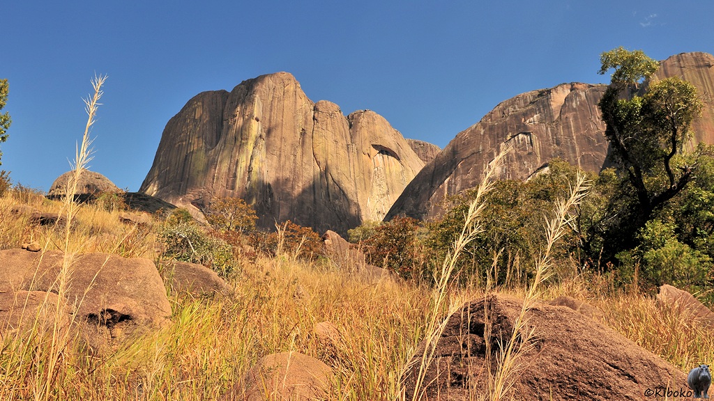Das Bild zeigt eine Bergspitze aus senkrechten Felsen. Davor liegen graue Felsen im trockenen gelben Gras.