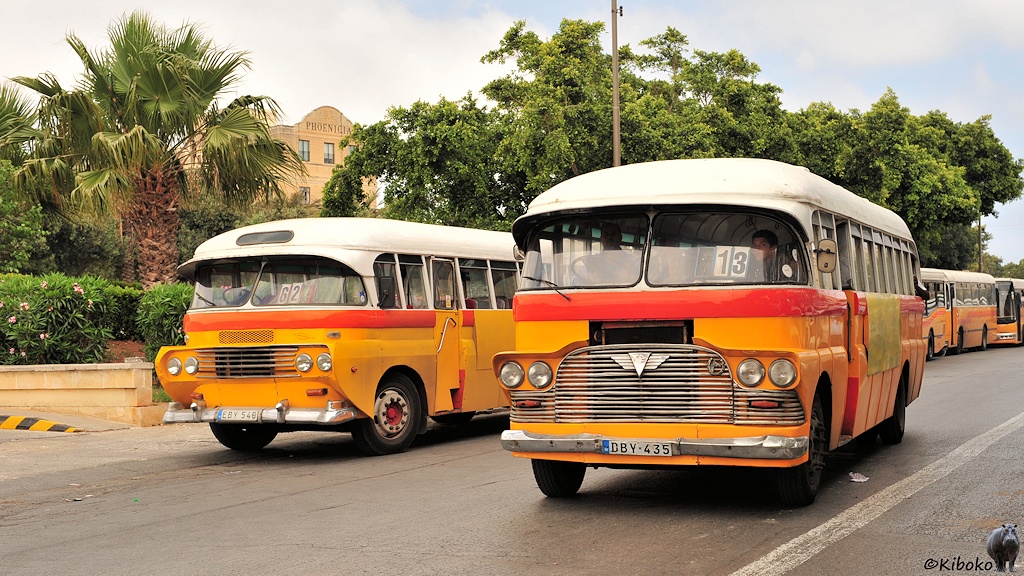 Das Bild zeigt zwei ältere, gelbe Busse nebeneinender. Beide Busse haben kleine geteilte Frontfenster mit Sonnenschutz, Doppelscheinwerfer und unterschiedliche Kühlergrills. Beide Busse machen einen abgewirtschafteten Eindruck.