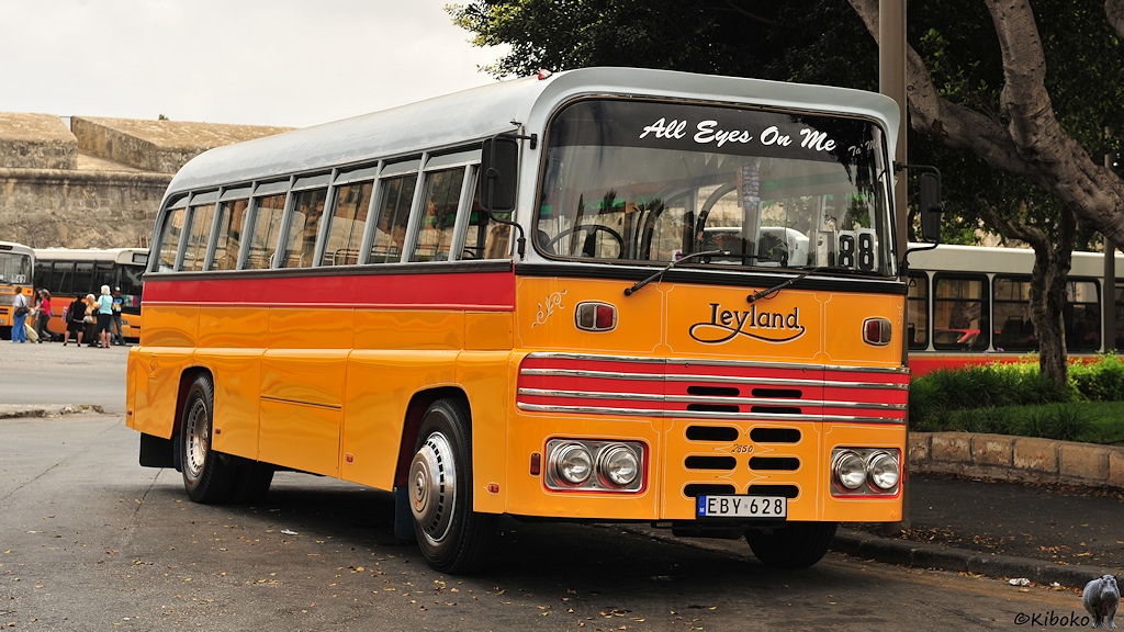 Ein kantiger gelber Leyland Bus steht vor einem Baum. Oben im Fenster ist der Schriftzug: All Eyes On Me.