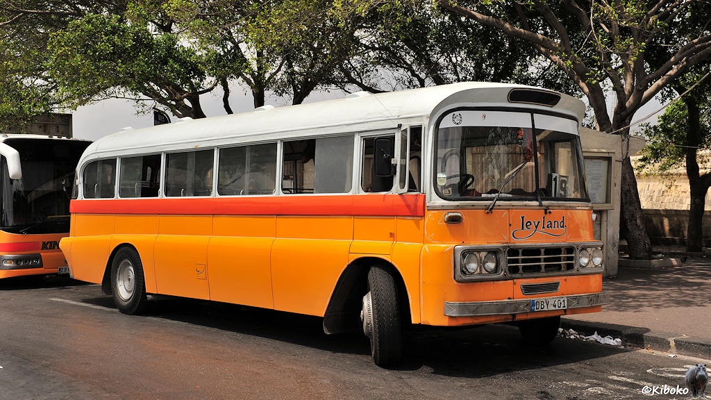 Das Bild zeigt einen gelben Bus mit weißen Dach und roten Zierstreifen. Der Bus steht an einem Bordstein mit Bäumen im Hintergrund.