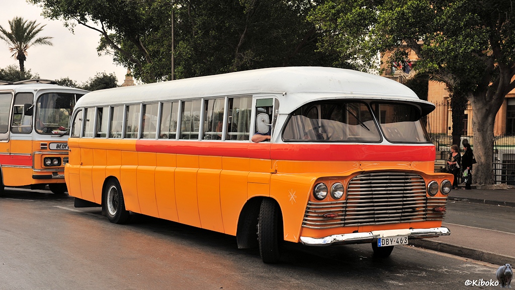 Das Bild zeigt einen gelben Bus mit weißen Dach und roten Zierstreifen auf der vordern Hälfte. Das geteilte Frontfesnster hat einen Sonnenschutz. Die Verchromten Zierleisten des Kühlergrills verlaufen über die unter Hälfte der Front.