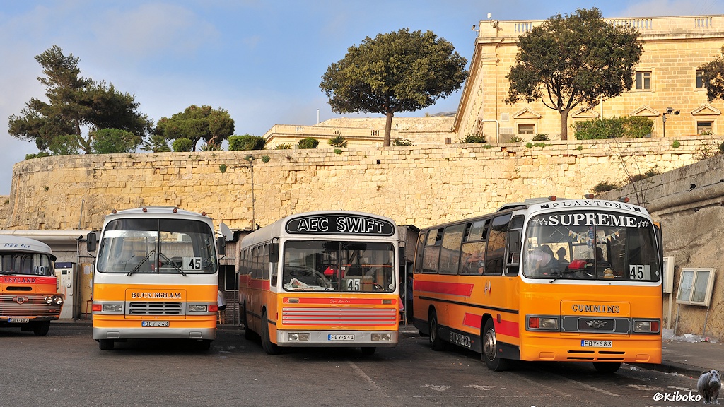 Das bild zeigt drei etwas modernere gelbe Busse stehen nebeneinander vor einer Stadtmauer aus beigefarbenen Sandstein. Sie tragen die Aufschriften: Buckingham, AEF Swift und Plaxton's Supreme Cummins.