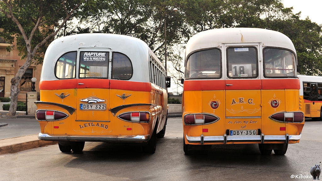 Das Bild zeigt zwei alte Busse von hinten. Sie haben drei Fenster und einen Notausgangstür im Heck. Der rechte Bus hat die Aufschrift 
