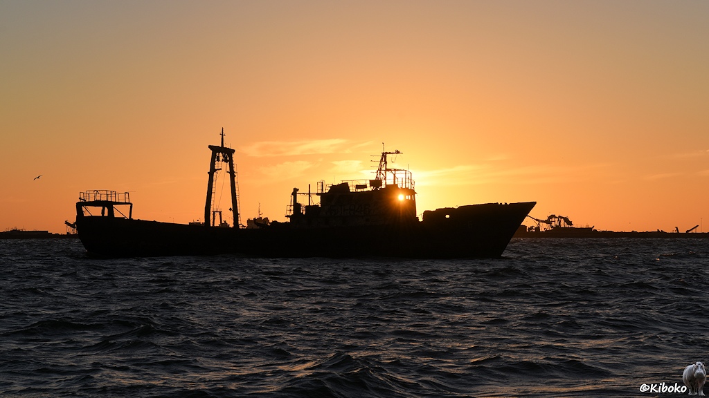 Das Bild zeigt die Silhouette des Fischtrawlers. Die aufgehende Sonne leuchtet durch die Fenster der Steuerkajüte. Im Hintergrund sind Krananlagen an der Küste.