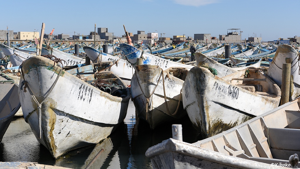 Das Bild zeigt drei weiße Fischerboote mit Schrammspuren am Bug. Dahinter und daneben sind unzählige Fischerboote. Im Hintergrund sind graue und beige Häuser mit Flachdach.