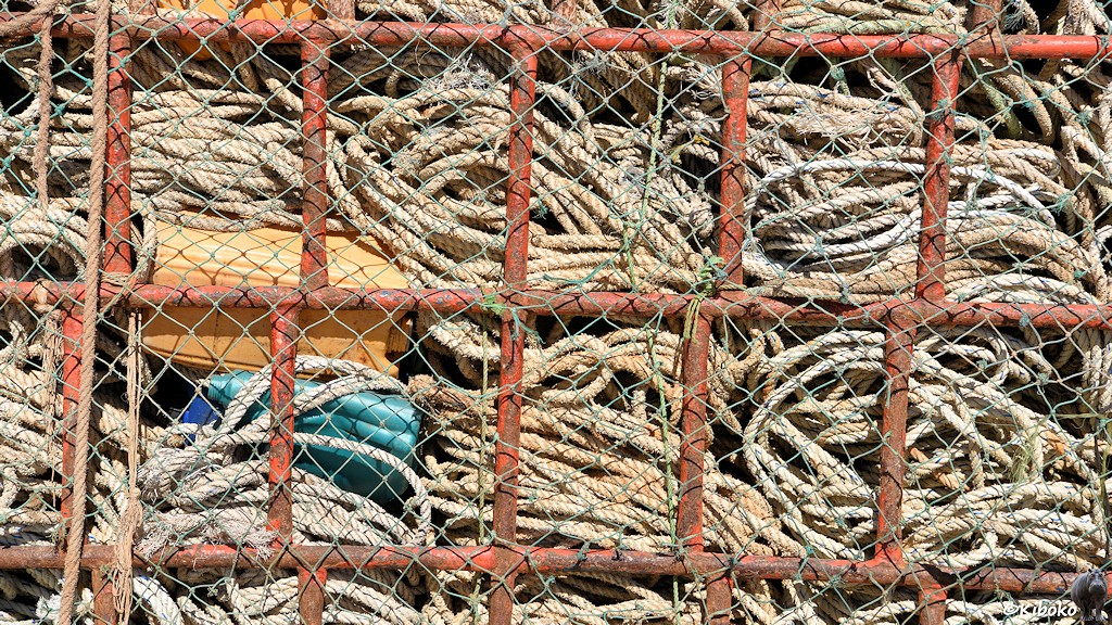 Das Bild zeigt ein rotes Stahlgitter mit aufgewickelten beigefarbenen Tauen. Dazwischen liegen ein gelber und ein blauer Plastikkanister. Ein grünes Fischernetz ist darüber gespannt.