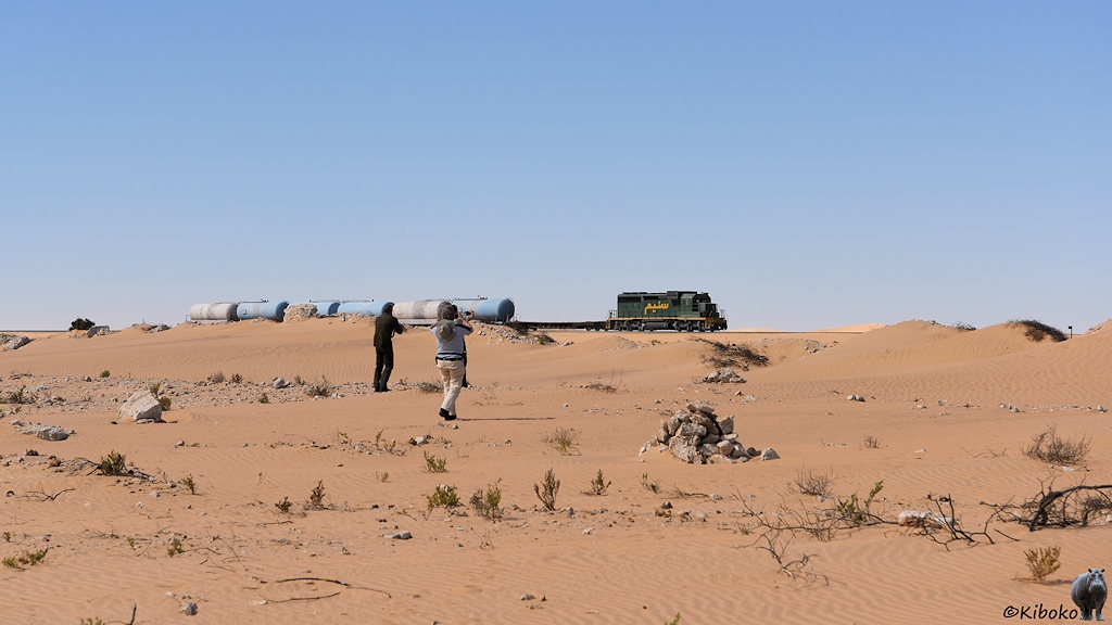 Das Bild zeigt einen Güterzug mit einer grünen Diesellok, einen Flachwagen und 6 blauen und grauen Kesselwagen durch eine Wüstenlandschaft fahren. Im Vordergrund sind drei Fotografen.