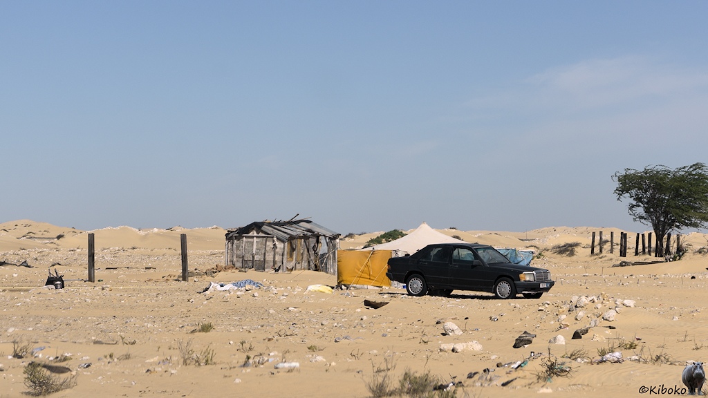 Das Bild zeigt einen schwarzen Mercedes vor einem weißen Zelt mit gelbem Windschutz. Dahinter steht eine einfache Holzhütte. Im Vordergrund liegen Müll und Plastikflaschen.