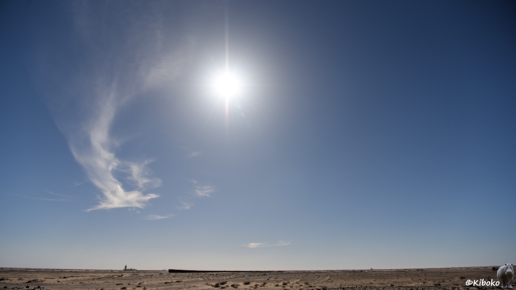 Das Bild zeigt einen Nachschuss auf den Erzzug in der Wüste mit einem Weitwinkel. Die Sonne strahlt vom blauen Himmel, der nur durch eine ausgrefranzten Wolke dekoriert ist.