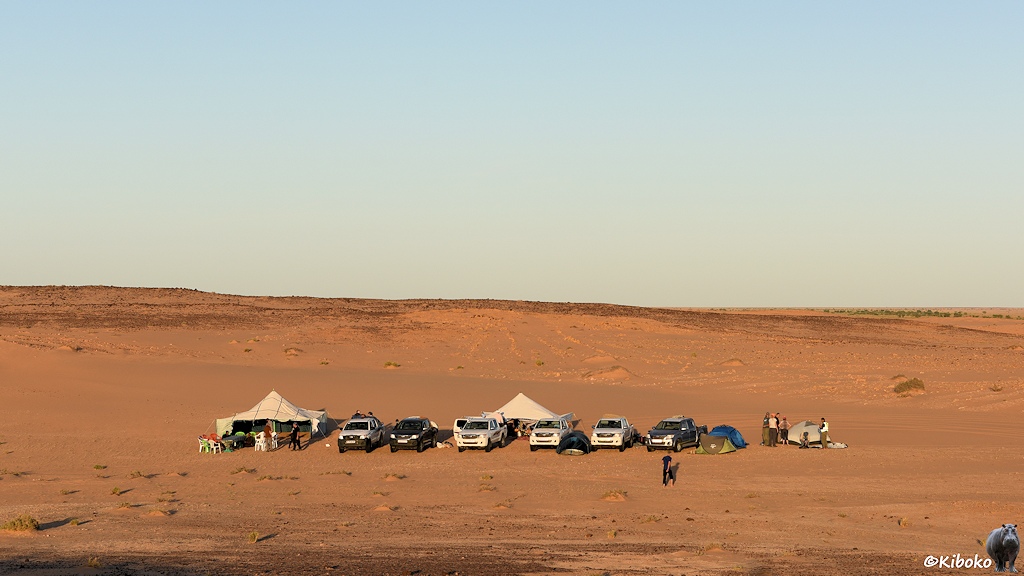 Das Bild zeigt zwei große viereckige Zelte, die sechs Geländewagen. Am rechten Ende der Reihe werden kleine Iglu-Zelte aufgebaut. Das Camp liegt mitten in der Wüste auf Sandboden in einer Vertiefung.
