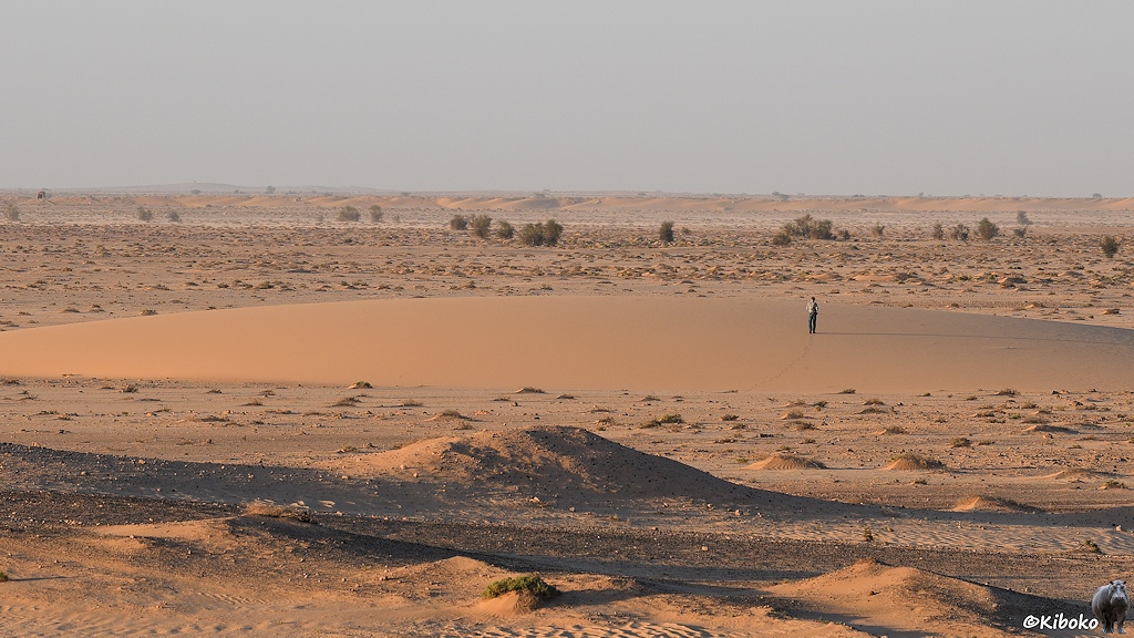 Das Bild zeigt einen Mann in weiter Entfernung auf einer Sandfläche in der Wüste. Er strebt ein paar Büschen am Horizont entgegen.