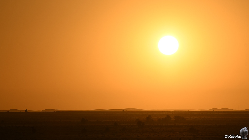 Das Bild zeigt die Sonne über einer Wüstenebene. Am Horizont sind ein paar Hügel. Die Bahnlinie ist nur schwer im Gegenlicht zu erkennen. Der Himmel ist orange gefärbt.