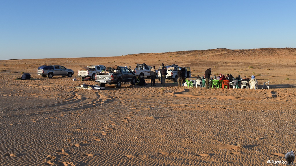 Das Bild zeigt sechs beladene Geländewagen von hinten in der Wüste. Rechts daneben ist eine lange Tafel mit weißen, grünen und roten Plastikstühlen. Darin sitzt eine Reisegruppe.