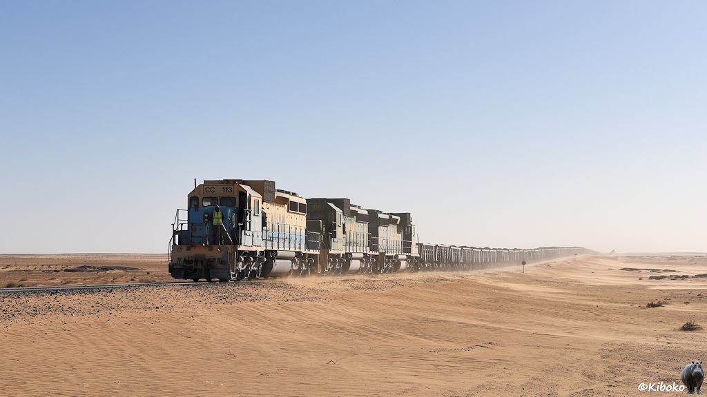 Das Bild zeigt einen langen Zug aus offenen Wagen, der sich über eine Welle in der Landschaft bis zum Horizont erstreckt. Eine beige-blaue und zwei grüne Dieselloks ziehen den Zug.