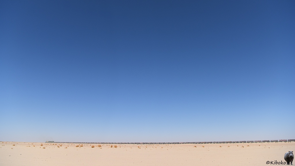 Das Bild zeigt den vorbeifahrenden Zug von der Seite. Die drei Loks sind schon fast am Horizont verschwunden. Die Wüste hat eine leichte Senke und der Zug scheint etwas durchzuhängen. Der tiefblaue Himmel nimmt die oberen vier Fünftel des Bildes ein.