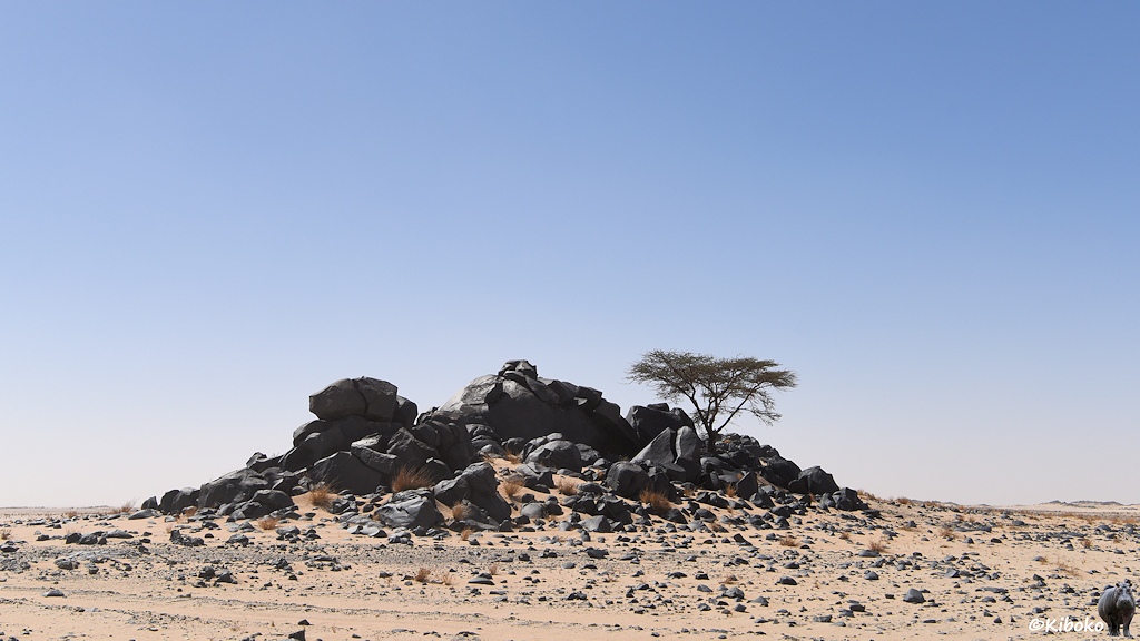 Das Bild zeigt einen Felshügel aus schwarznen Steinen in einer hellen Sandwüste. Rechts von der Hügelspitze steht ein kleiner Laubbaum.
