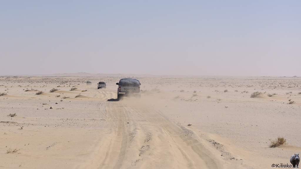 Das Bild zeigt drei vorausfahrende Geländewagen bei der Fahrt durch eine Ebene aus hellen, losen Sand. Staub fliegt hoch. Die Geländewagen hinterlassen tiefe Spuren. Vereinzelt stehen Grasbüschel in der Wüste.