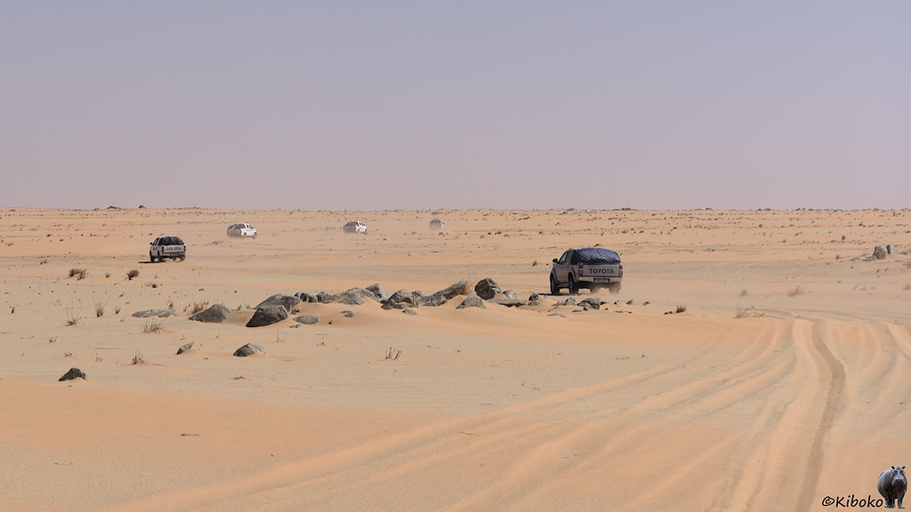 Das Bild zeigt fünf Geländewagen in einer S-Kurve in der Wüste aus blassen, rosafarbenen Sand. Die Spuren sind tief in den Sand gedrückt. Es ragen Ansammlungen von schwarzen Steinen aus dem Sand.
