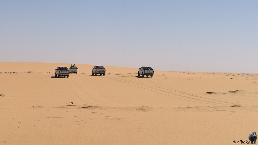 Das Bild zeigt vier Geländewagen, die nebeneinander eine Düne aus gelblich-rosanen Sand hochfahren.