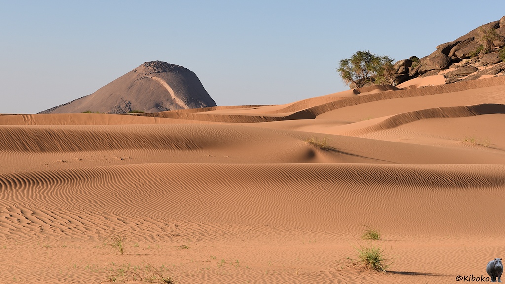 Das Bild zeigt mehrere hintereinanderliegende Sanddünen. Dahinter ragt ein rotbrauner Berg aus nacktem Fels über die Dünen. Am rechten Bildrand sind die Ausläufer eines Hügels aus rotbraunen Felsen mit einem Baum als Abschluss.