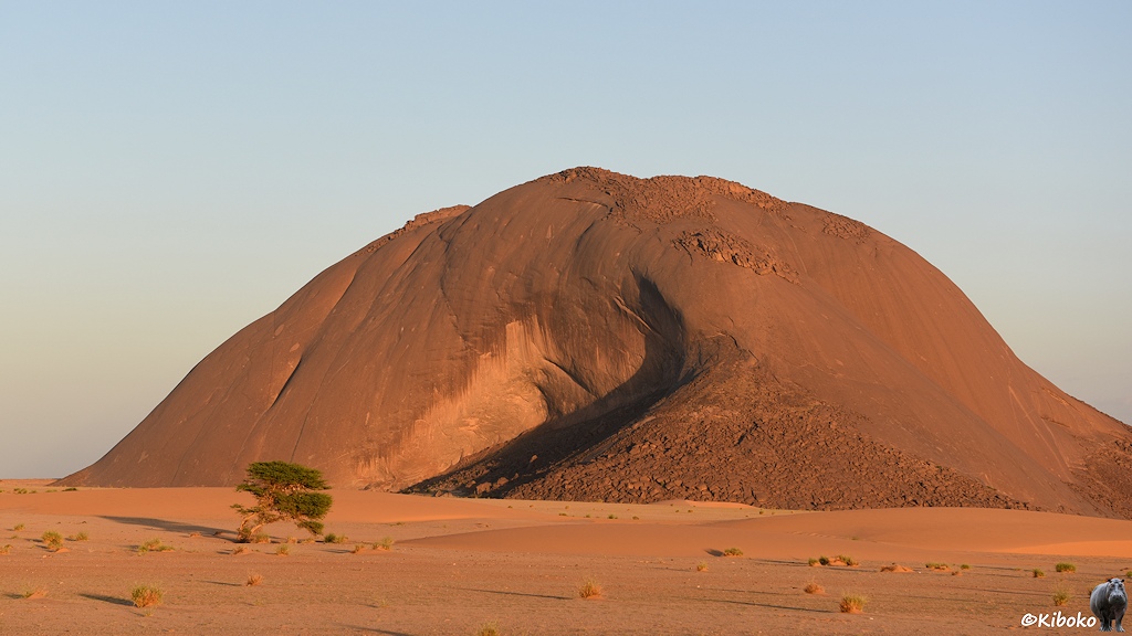 Das Bild zeigt einen mächtigen rotbraunen Berg aus glattem Fels in der Wüste im Abendlicht. In der Mitte ist eine große Vertiefung. Rechts daneben liegen kleine Felsen auf der Bergflanke. Vor dem Berg steht ein einsamer Baum.