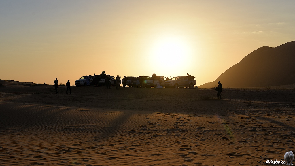 Das Bild zeigt sechs Geländewagen im Gegenlicht gegen die Sonne auf einer kleinen Düne. Im Vordergrund sind Spuren im Sand.