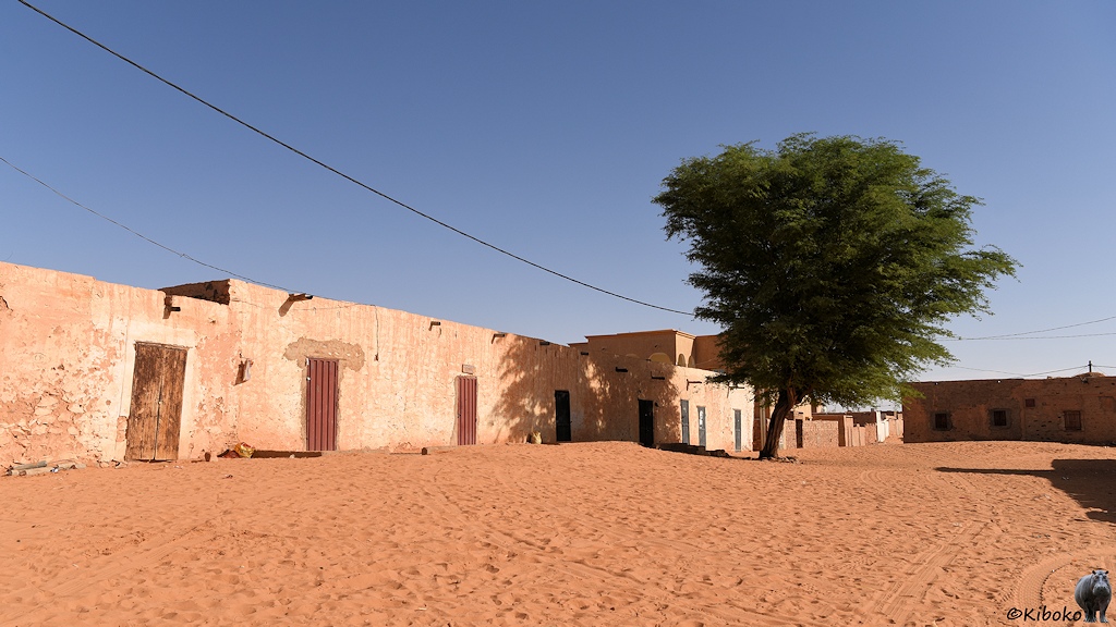 Das Bild zeigt einen mit rötlichem Sand bedeckten Platz. Darauf steht eine einzelne Akazie. Der Platz ist durch eine einstöckige hellbraune Hausfront mit dunkelbraunen Türen abgeschlossen.